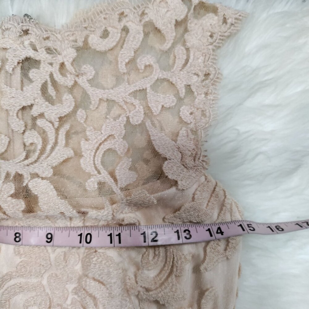 Tadashi Shoji Sheath Dress S Beige Rose Pink Lace Sleeveless - Picture 6 of 10